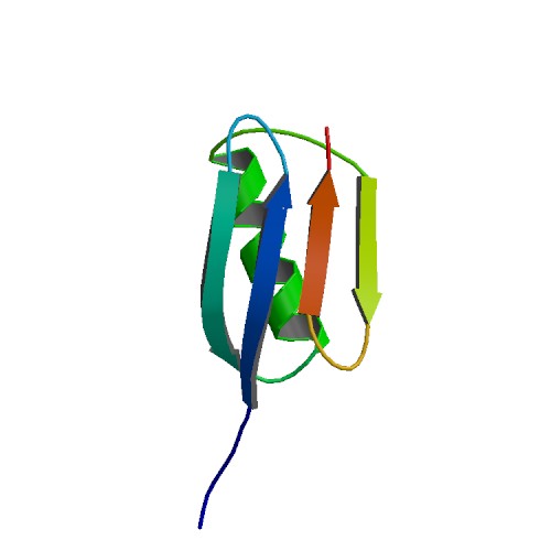 protein G B1 domain